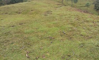 Venta finca Caldas Antioquia