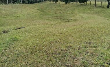 Venta finca Caldas Antioquia