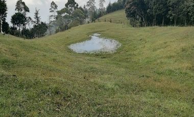 Venta finca Caldas Antioquia