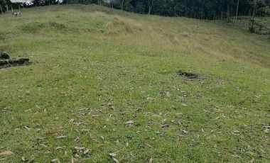 Venta finca Caldas Antioquia