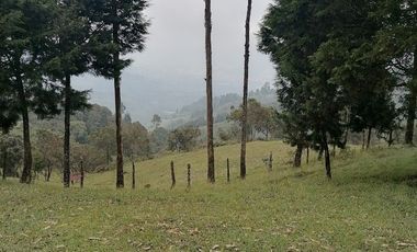 Venta finca Caldas Antioquia