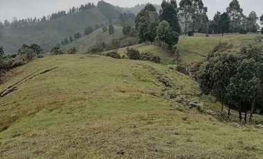 Venta finca Caldas Antioquia
