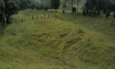 Venta finca Caldas Antioquia