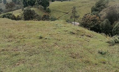 Venta finca Caldas Antioquia