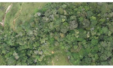 Venta de Finca Ganadera en San Roque, Antioquia