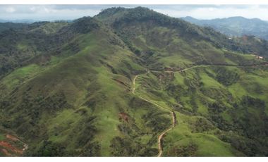 Venta de Finca Ganadera en San Roque, Antioquia