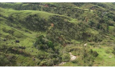 Venta de Finca Ganadera en San Roque, Antioquia