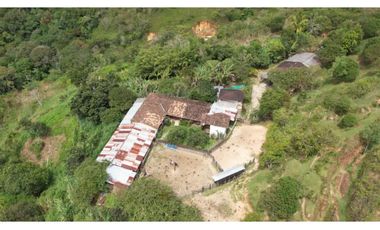 Venta de Finca Ganadera en San Roque, Antioquia