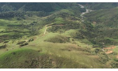 Venta de Finca Ganadera en San Roque, Antioquia