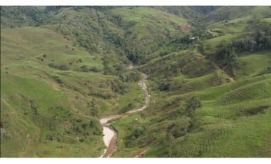 Venta de Finca Ganadera en San Roque, Antioquia
