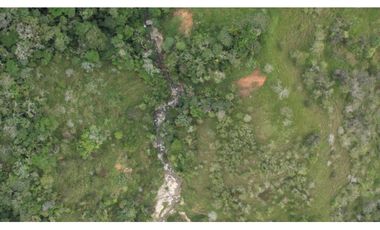 Venta de Finca Ganadera en San Roque, Antioquia