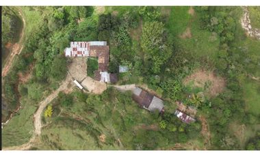 Venta de Finca Ganadera en San Roque, Antioquia
