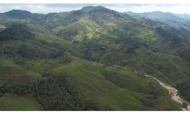 Venta de Finca Ganadera en San Roque, Antioquia