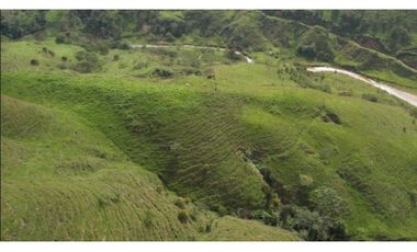Venta de Finca Ganadera en San Roque, Antioquia