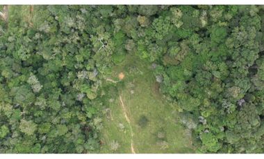 Venta de Finca Ganadera en San Roque, Antioquia