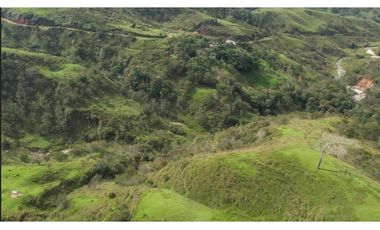 Venta de Finca Ganadera en San Roque, Antioquia