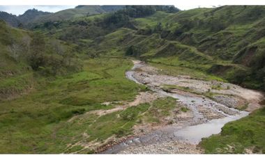 Venta de Finca Ganadera en San Roque, Antioquia