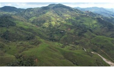 Venta de Finca Ganadera en San Roque, Antioquia