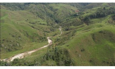 Venta de Finca Ganadera en San Roque, Antioquia