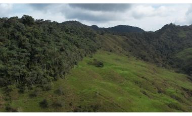 Venta de Finca Ganadera en San Roque, Antioquia