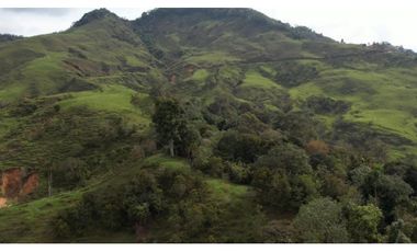 Venta de Finca Ganadera en San Roque, Antioquia