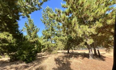Sitio en Venta en Loteo Alto Boyeruca, Comuna de Vichuquén