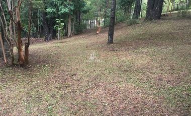 Casa en Venta en COD35744 Caburgua