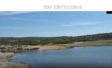 Rento terreno Juventino Rosas 500 hectareas