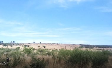 Rento terreno Juventino Rosas 500 hectareas