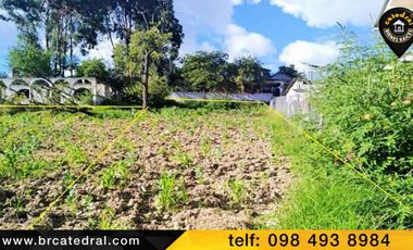 Terreno de venta en UCHUPUCUN BARRIO NUEVO – código:17072