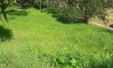 Vendo finca a 3 minutos desde la doble calzada en Barbosa