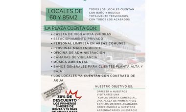 PLAZA COMERCIAL EN RENTA JARDINES APIZACO