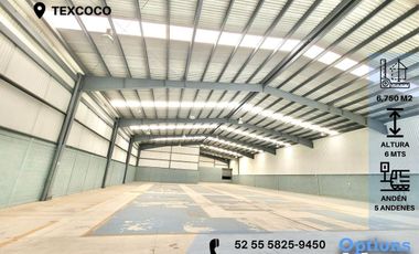 Amazing industrial warehouse for rent in Texcoco