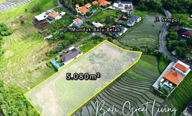 Tanah 5080m2 di Pererenan Dekat Dengan Pantai View Sawah