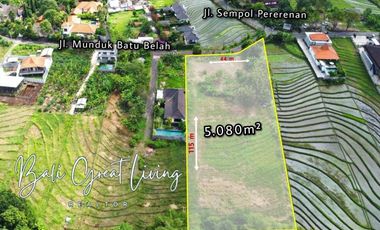 Tanah 5080m2 di Pererenan Dekat Dengan Pantai View Sawah