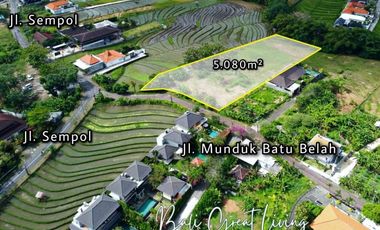 Tanah 5080m2 di Pererenan Dekat Dengan Pantai View Sawah
