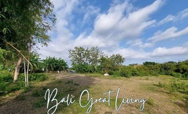 Tanah 5080m2 di Pererenan Dekat Dengan Pantai View Sawah
