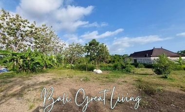 Tanah 5080m2 di Pererenan Dekat Dengan Pantai View Sawah