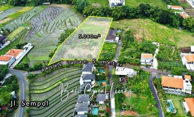 Tanah 5080m2 di Pererenan Dekat Dengan Pantai View Sawah