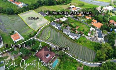 Tanah 5080m2 di Pererenan Dekat Dengan Pantai View Sawah