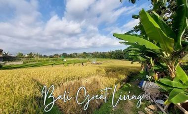 Tanah 5080m2 di Pererenan Dekat Dengan Pantai View Sawah