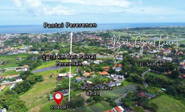 Tanah 5080m2 di Pererenan Dekat Dengan Pantai View Sawah
