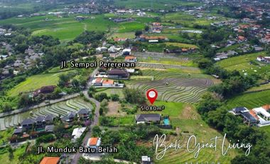 Tanah 5080m2 di Pererenan Dekat Dengan Pantai View Sawah