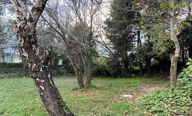 Casa en Venta en Pelluco