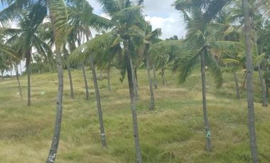 Single Attached overlooking at San Fernando-4Bedroom