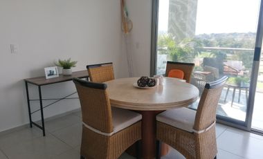 Nuevo departamento en planta baja