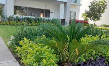 Nuevo departamento en planta baja