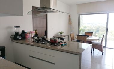 Nuevo departamento en planta baja