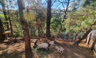 MAGNIFICO RANCHO EN VENTA, ACATITLAN