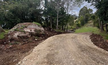 Parcelas con vista y acceso al Lago Ranco
